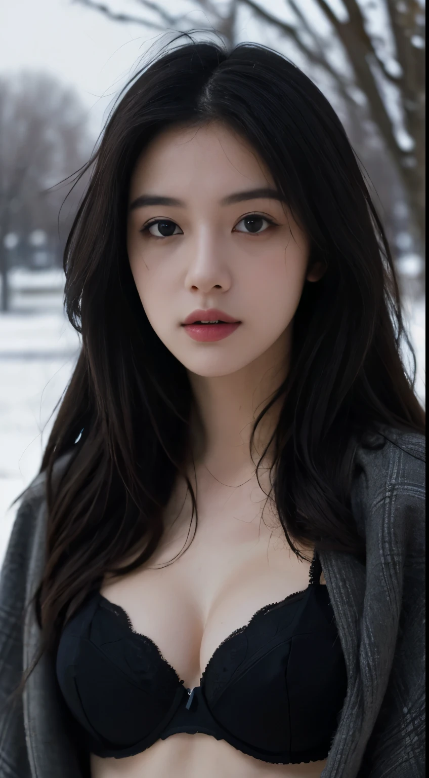 Best quality, masterpiece, ultra high res, (photorealistic:1.5), raw photo, 1girl, in the park, deep shadow, low key, cold light, sexy look, long hair, fabric bra, winter, snow