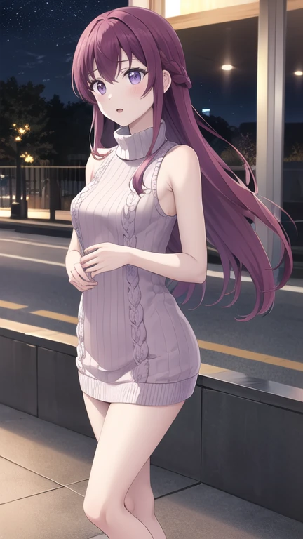 masterpiece, best quality, highres, 1girl, solo, long hair, purple hair, braid, purple eyes, sweater dress, ribbed sweater, virgin killer sweater, turtleneck, sleeveless, outdoors, standing, night, street,