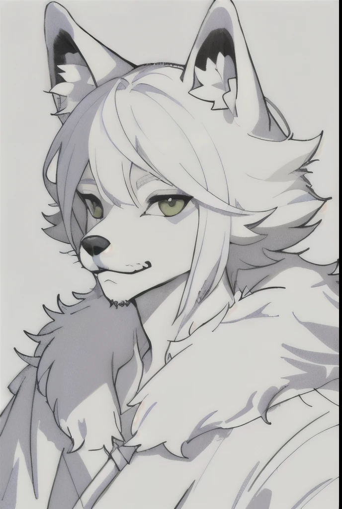 score_9, score_8_up, score_7_up, score_6_up, rating_safe, (source_furry), full-length portrait, anthro male BoykisserFur, :3, (white fur:1.6), (monotone fur:1.6),