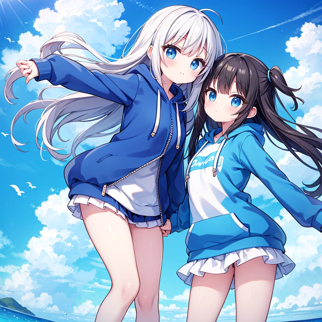 cute, duo, Shiny, Under the blue sky, The two are relative, Wearing a hoodie,