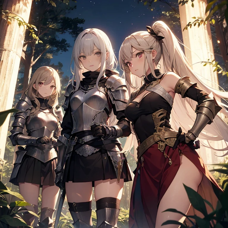 A group of  female knight, (in forest), various hair styles, harem, wearing armored clothes, metal armor, night, details face, , short skirt, seducing, sword, armpits 