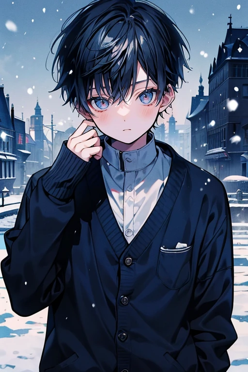 (muste piece), (best quality), very detailed,((cute face)), cool,1boy, dark blue hair,wear shirt, navy cardigan,black pant,standing,snowing,snow place