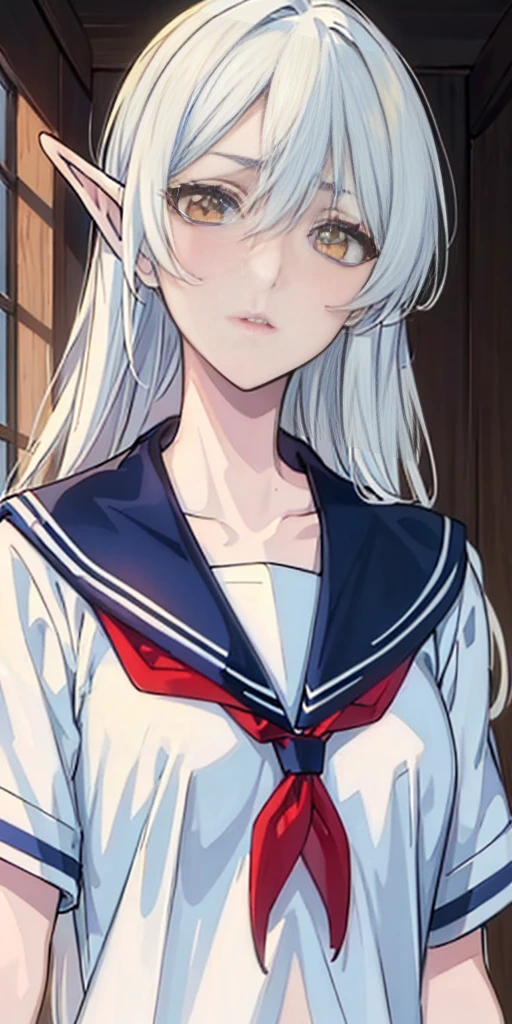 masterpiece, best quality, high quality,1sologirl Erwin elf, long hair, white hair, yellow eyes,(serafuku:1.5)