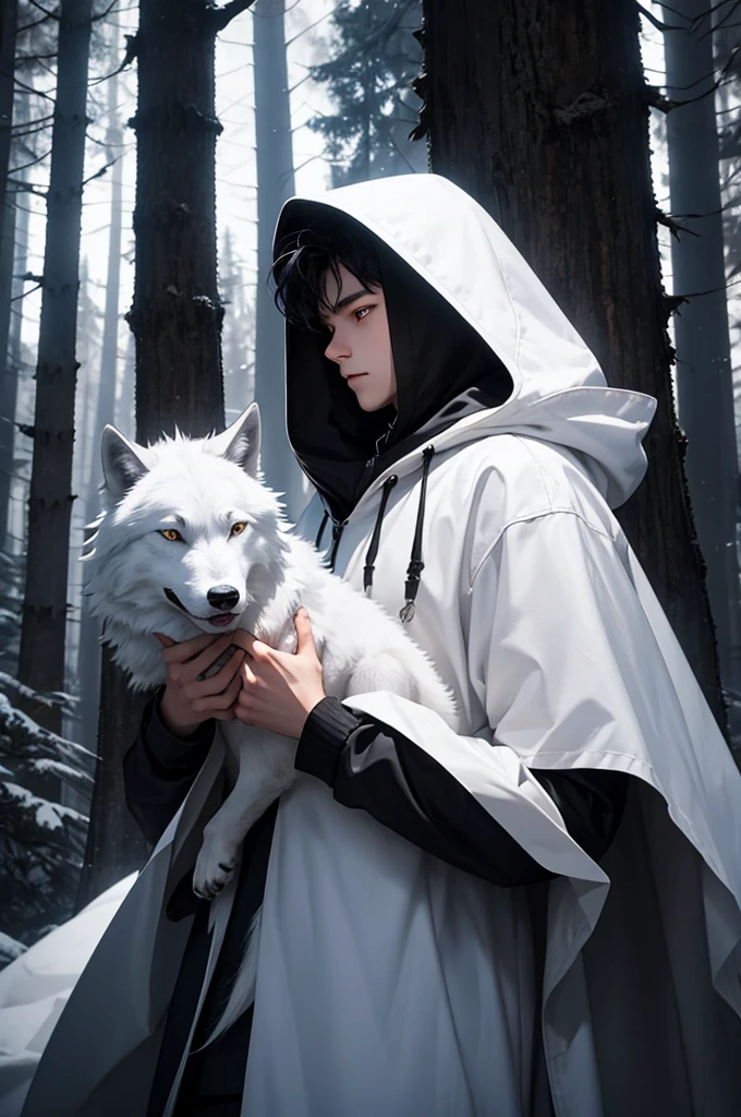 16 year old boy.short black hair.white eyes.with a hood.with a white wolf.in a forest.at night