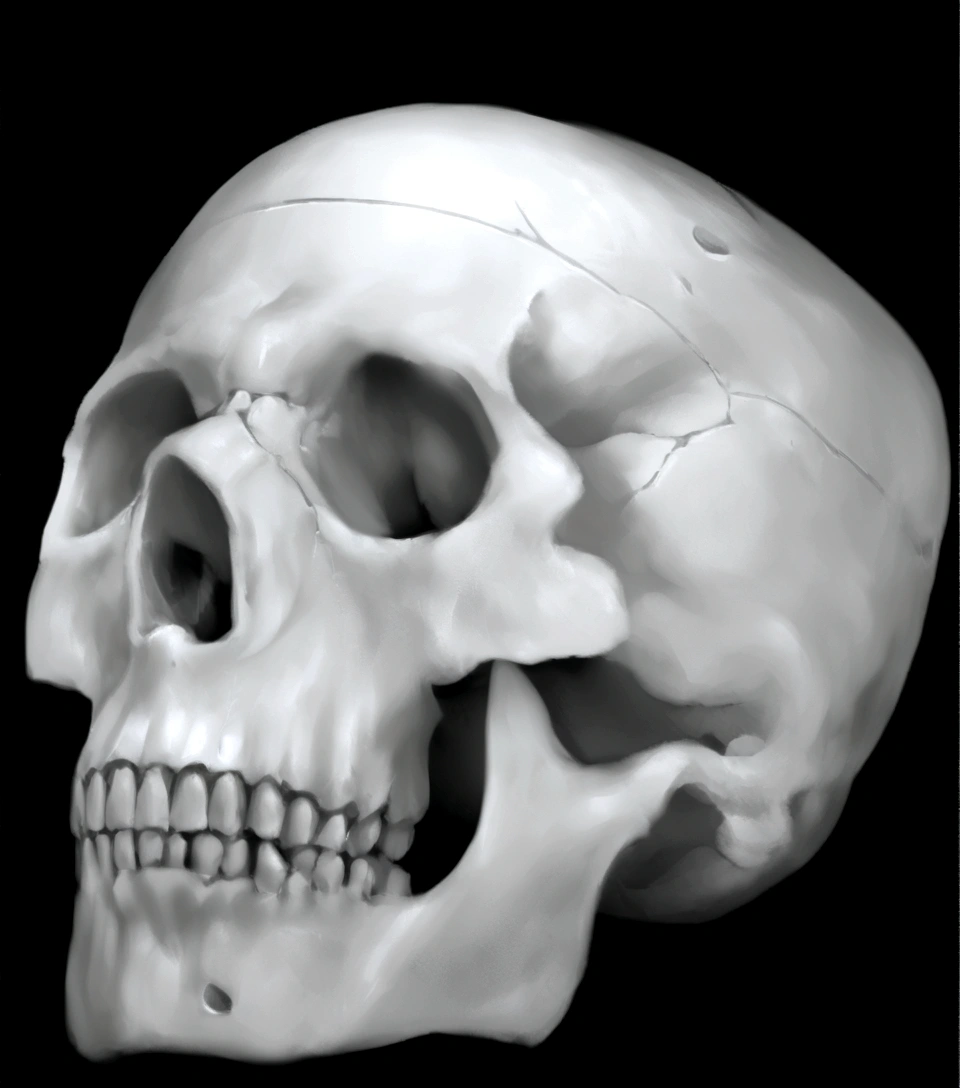 create a depth map for this image