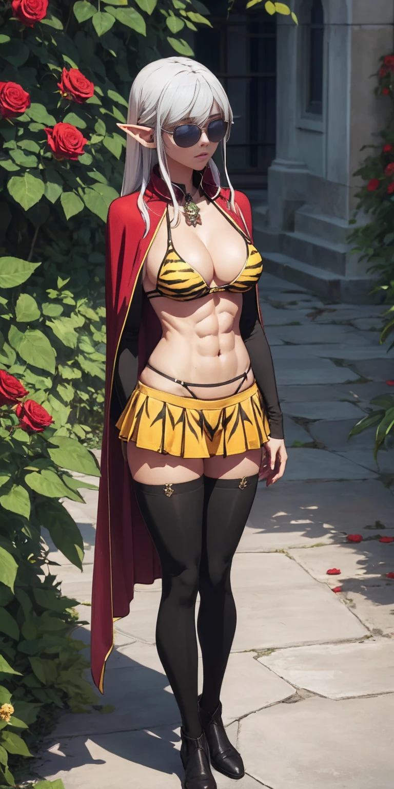 Full body, masterpiece, female drow elf purple skin standing pose (yellow tiger bikini), red cape, red bikini, long white hair, strong body, abs, Shiny Skin, Sunglasses, FEMALE, big breasts, voluminous breasts, curvy breasts, mesh stockings, standing with a bouquet (red roses), full height, bottom view, best quality, very detailed, ultra 8k resolution,huge breast, coat , vest, long skirt, portrait, full body, victorias clothing, long dress, knight, pants, black skinn suit, medieval city, plants, vest,polo shirt, forest, long skirt