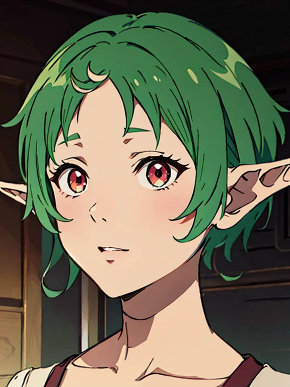 ((best quality)), ((masterpiece)), (detailed), perfect face. Asian girl. Green hair. Short hair. Elf. Maroon eyes.