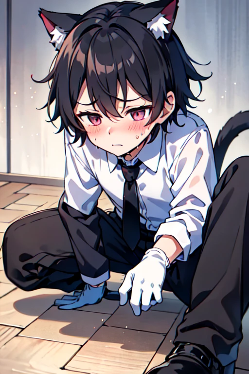 16-year-old boy，cute，Wear a white long-sleeved shirt and a black work tie，Wear black pants，Wear black booties，Wear white gloves，wear cat ear，blush，sweat，shy，Uncomfortable，Glove removal action，Close-up photo