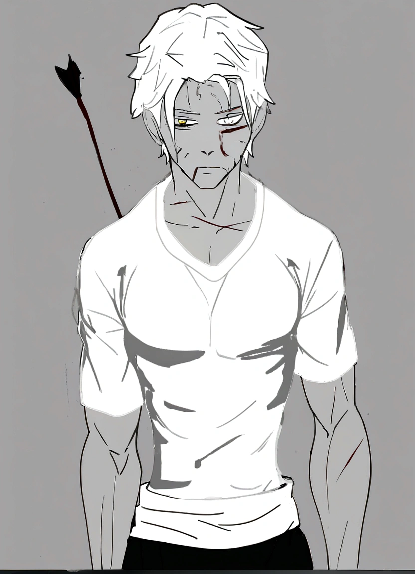 male , injured all over his body, with an arrow stuck in his back, torn clothes