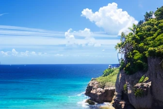 An isolated island in the southern seas、Palm Tree、Shirahama、blue sea、Blue sky、White cloud、Single-story house、