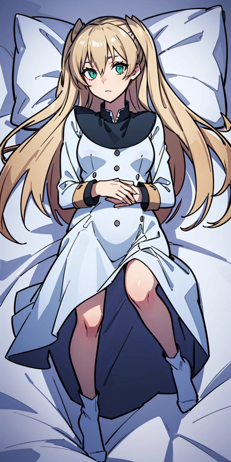 Mary "White" Macbeth, 1girl, bedroom dakimakura_(medium) lying on_back on_bed solo