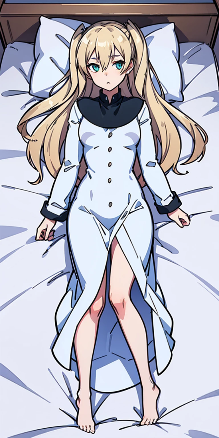 Mary "White" Macbeth, 1girl, bdsm, bedroom dakimakura_(medium) lying on_back on_bed solo