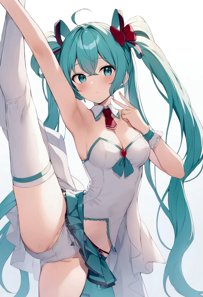 Hatsune Miku、Live costumes