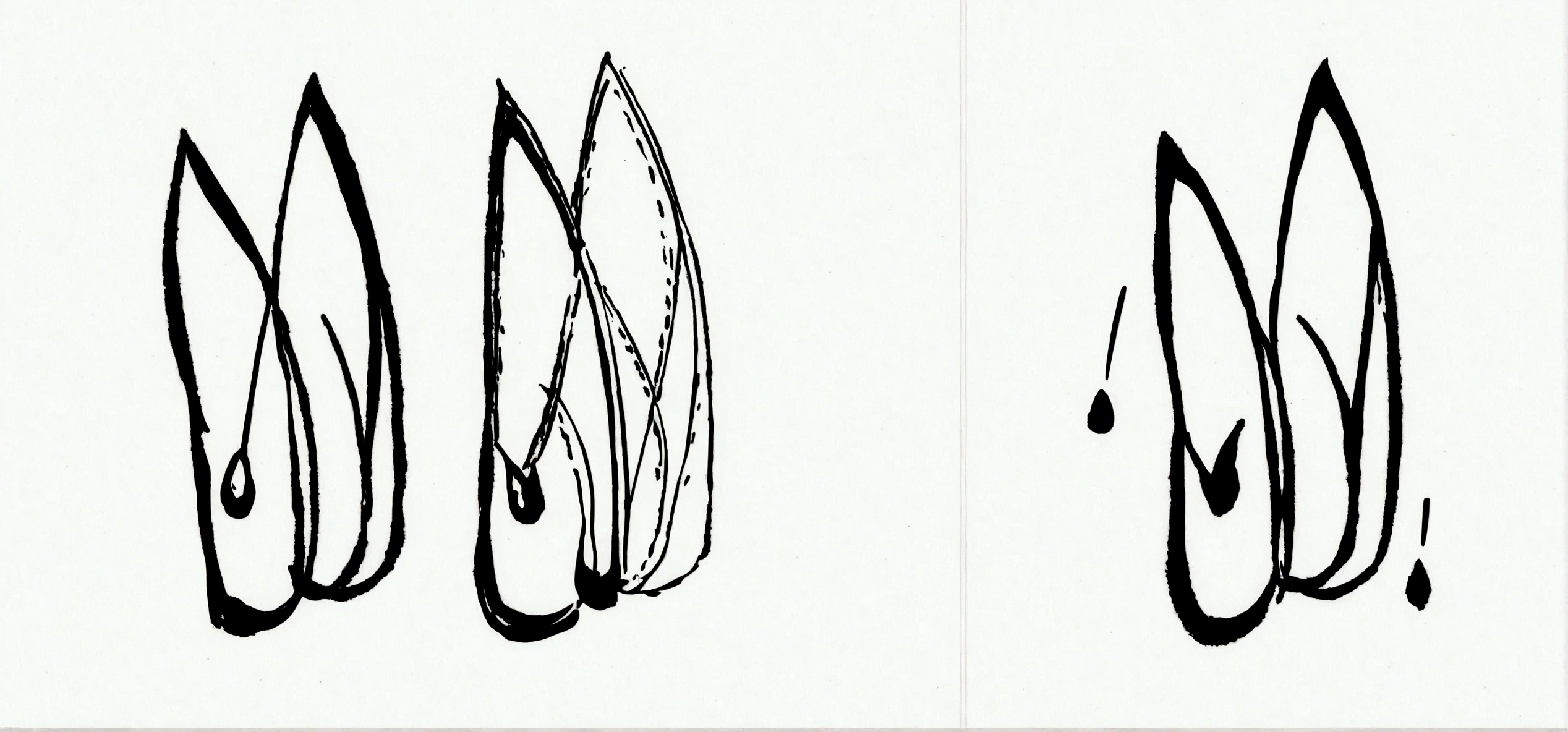 Lilium 'Casa Blanca'、Line art、White background、、Thick black line、simple