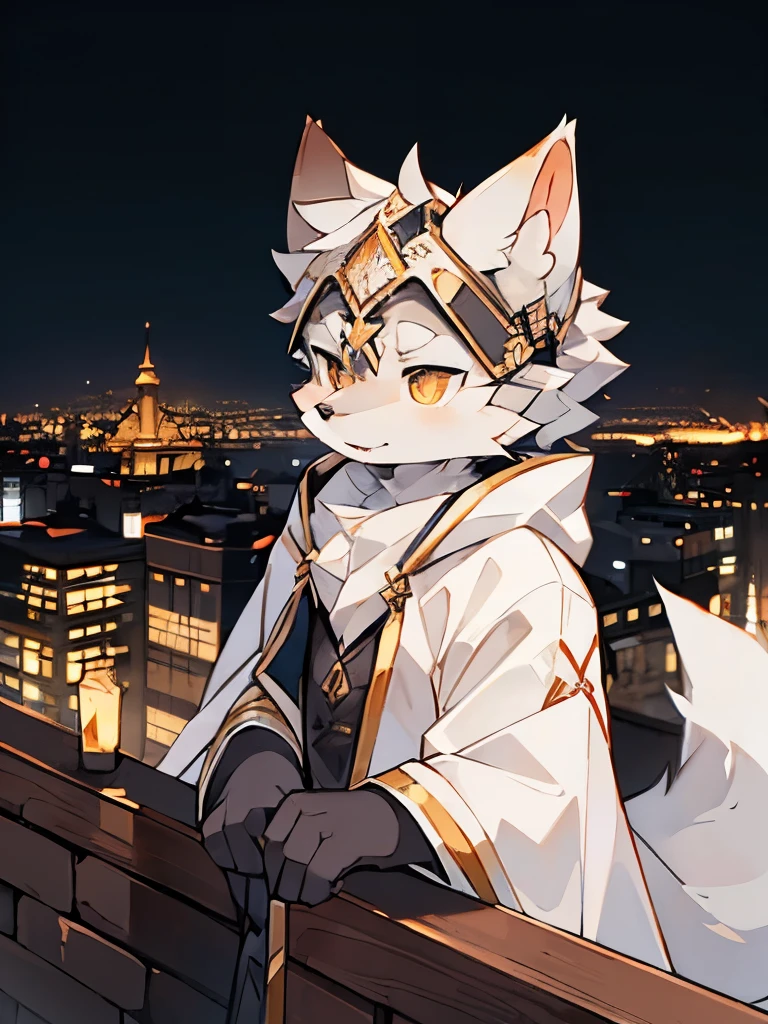 Exquisite lines,best quality。Gray wolf orcs,White robe,Golden pupils,There is a triangle sign on the head,Background City,night,Standing on the rooftop
