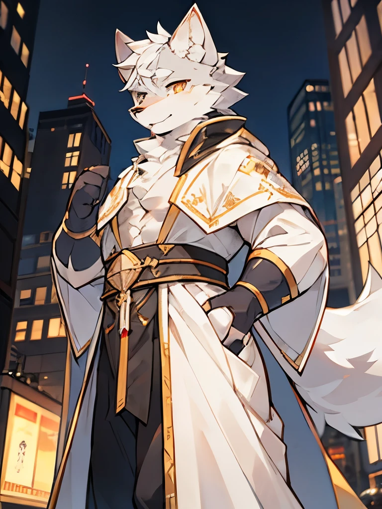 Exquisite lines,best quality。male,Gray wolf orcs,White robe,Golden pupils,Background city bustling streets,night