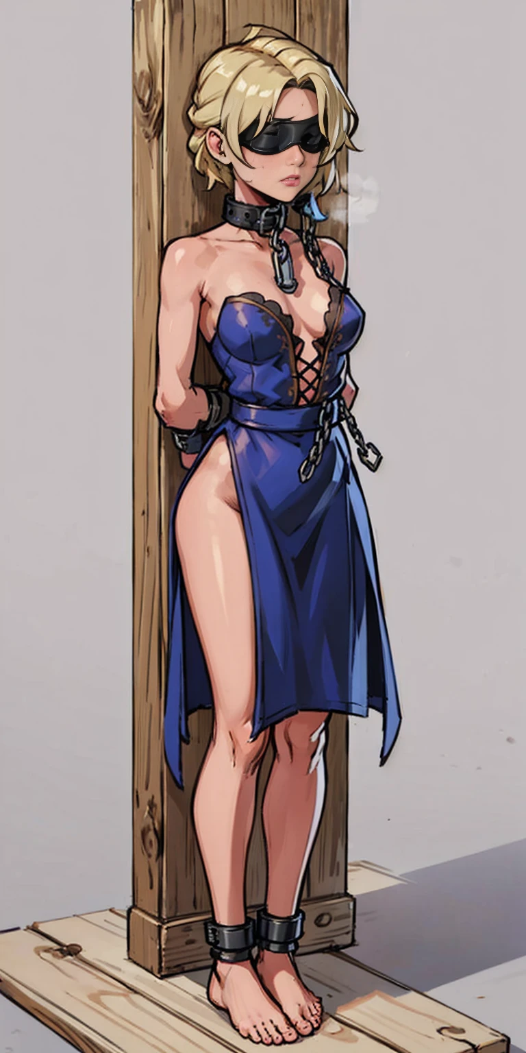 (Masterpiece, best quality, intricate details, 1sologirl, plain background:1.2) iron collar, arms behind back, iron cuffs, shackles, bound ((standing by wooden pole:1.2)) ((phSaber)) blindfolded barefeet chain