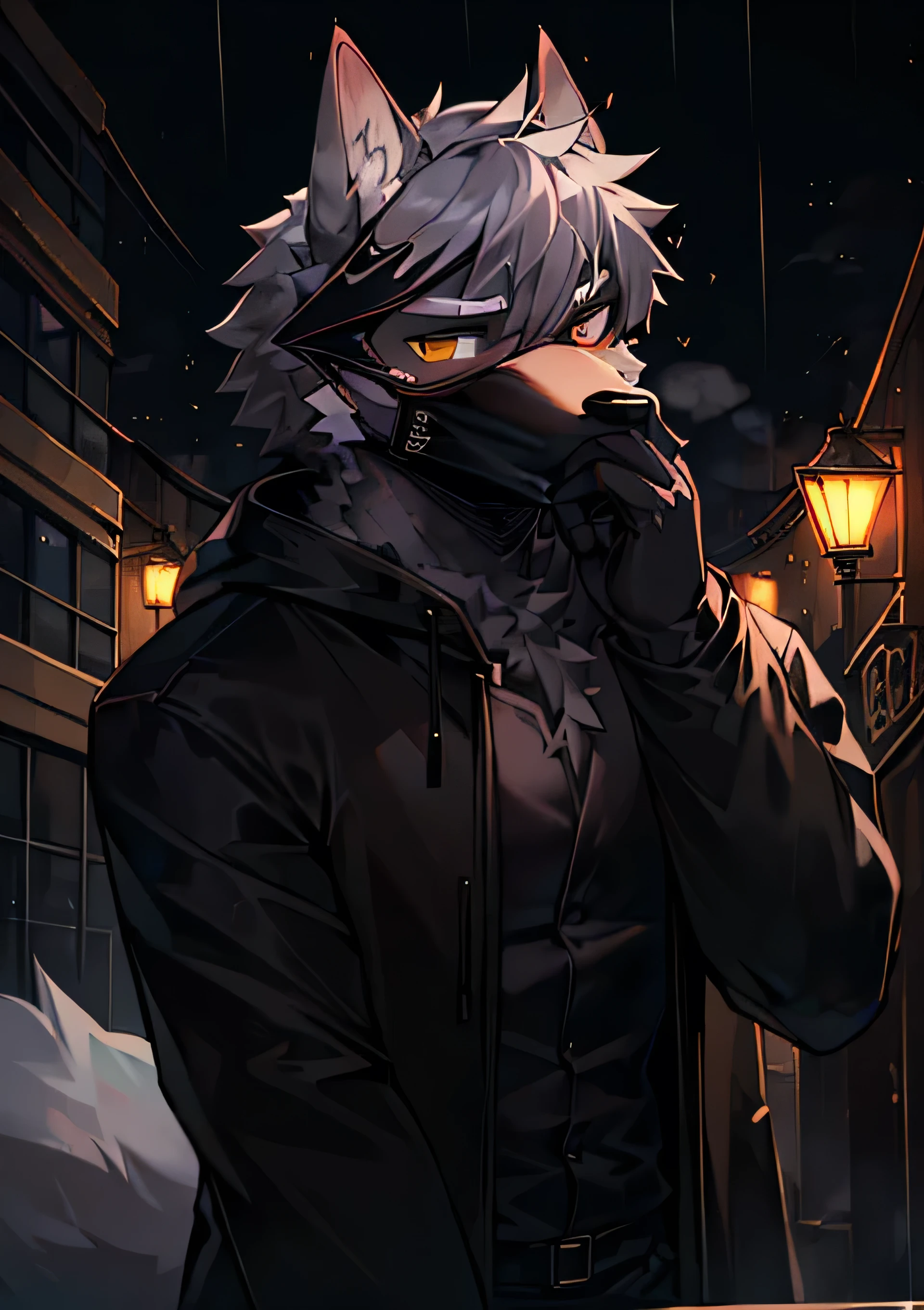 4k，Highest quality，Super beautiful picture quality，street_dark，Street Lights，Warm colors，night，rain，Gray，mist，Character Focus，Wolf Orc_important，A male，，Wolf ears，Wearing a mask，Black trench coat，Wearing a hood，Block your hair，Holding the mask，Wolf Tail，Gray hair，Looking at the audience，