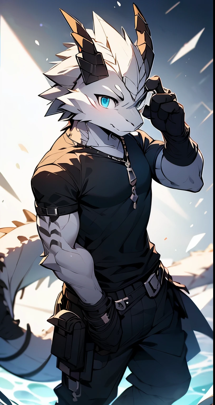 Masterpiece, Cool Pose, Furry Gray Dragon, Medium Strong Body, Blue Eyes, Grey Medium Hair, Combat Black Shirt, Combat Gloves, Combat Pants, Fierce, Good looking
