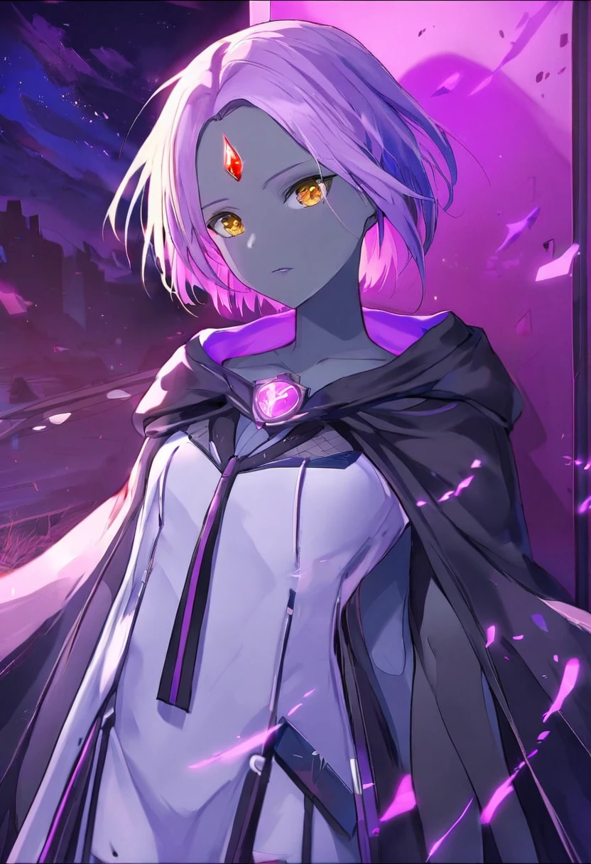 score_9, score_8_up, score_7_up, volumetric lighting,
white raven, 1girl, solo, short hair, purple hair, hood, cape, colored skin, cloak, grey skin, forehead jewel
