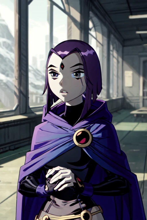 score_9, score_8_up, score_7_up, volumetric lighting,
white raven, 1girl, solo, short hair, purple hair, hood, cape, colored skin, cloak, grey skin, forehead jewel
