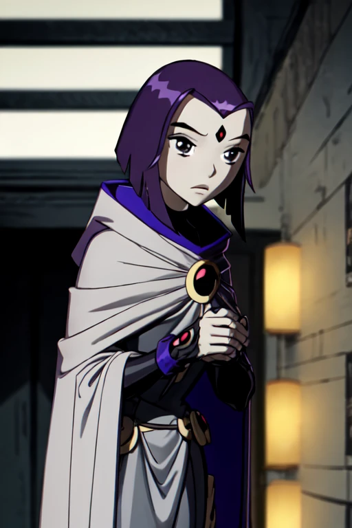 score_9, score_8_up, score_7_up, volumetric lighting,
white raven, 1girl, solo, short hair, purple hair, hood, cape, colored skin, cloak, grey skin, forehead jewel