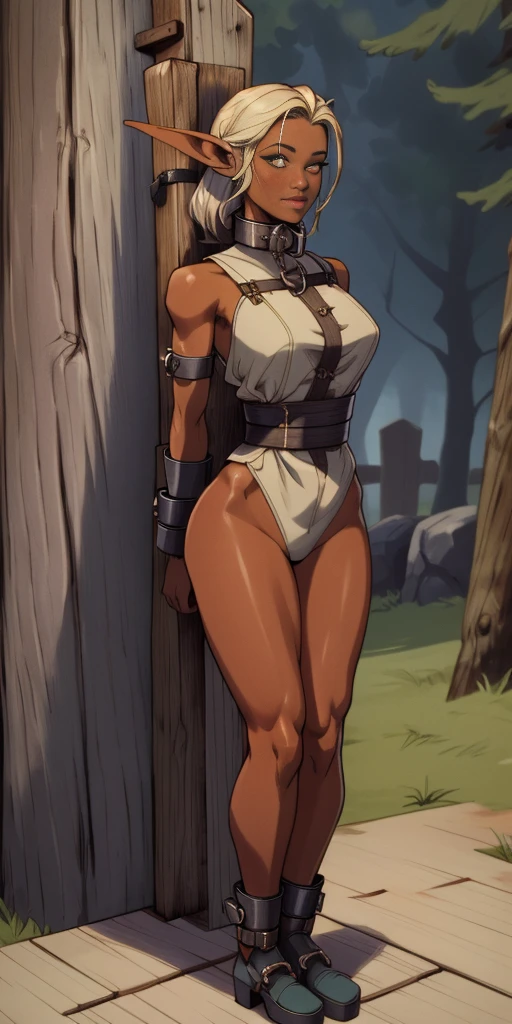 (Masterpiece, best quality, intricate details, 1sologirl) iron collar, arms behind back, iron cuffs, shackles, bound ((standing by wooden pole:1.2)) far shot looking at viewer standing straight symmetrical against contrapposto happy ((Pirotes Dark elf skin))