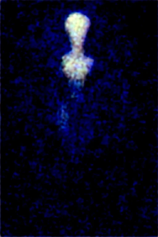 collar, midriff, revealing clothes, Laberatory setting, large eyes, ((solo)), beautiful scene of an (Kaminoan), natural soft lighting, seductive, pelvic curtain, narrow shoulders, balcony, loincloth dress, no humans, Kaminoan \(Star Wars\), Kaminoan \(Star wars\) Star wars, Pale white skin, female focus, thick thighs, thighs, (Kaminoan:0.3), solo, full body, Laberatory, Futuristic, highly detailed, (hi res), ((masterpiece)), ((best quality)) , 4k, (high detail:1.3),( solo,hi res,soft shading,good anatomy, cinematic lighting, by woolrool,by enro_the_mutt,by repzzmonster,by snowskau:0.5,by lvlirror,by bebebebebe,by kakhao,buta99, detailed background, black eyes, white accents, solo, sex, kaminoan, hyper biped, furry, good anatomy, kaminoan_StarWars, solo, full body, (hooved feet:1.2), smooth skin, kaminoan_starwars, hooved feet, wet, smooth skin, wide hips, thick thigs, horny, wide hips, bottom heavy, jewelry, , royalty, lab, breedable, scientist, stormy, standing, full view, wide hips, small breasts, ((slim and very built, elegant clothes, long slender legs, Long neck)), Beautiful girl, full height, thin waist, big almond eyes, very long eyelashes, long beautiful legs, amphibian, oblong head, head crescent, (by Da polar inc), pelvic curtain, bare hips, long curtain,