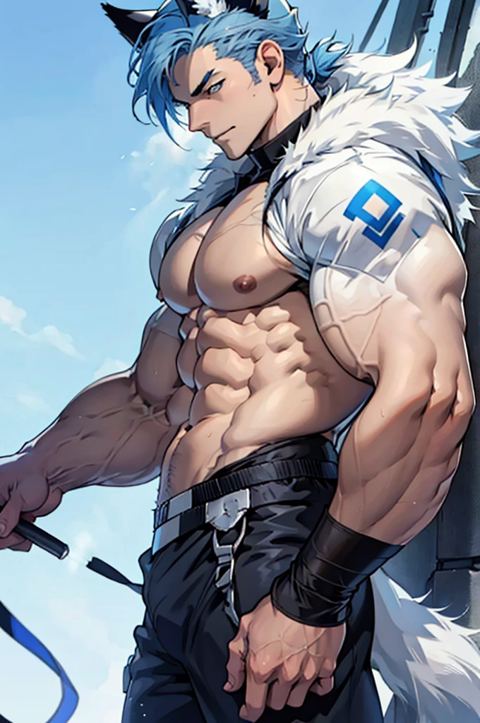 Detailed design of male anime character. many angles. detail. Young man, blue hair, white skin, strong muscles, wolf ears