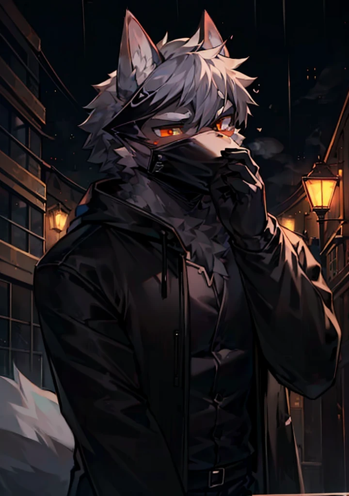 4k，Highest quality，Super beautiful picture quality，street_dark，Street Lights，Warm colors，night，rain，Gray，mist，meticulous，Character Focus，Wolf Orc_important，A male，，Wolf ears，Wearing a mask，Black trench coat，Wearing a hood，Block your hair，Orange eyes，Holding the mask，Wolf Tail，Gray hair，Looking at the audience，