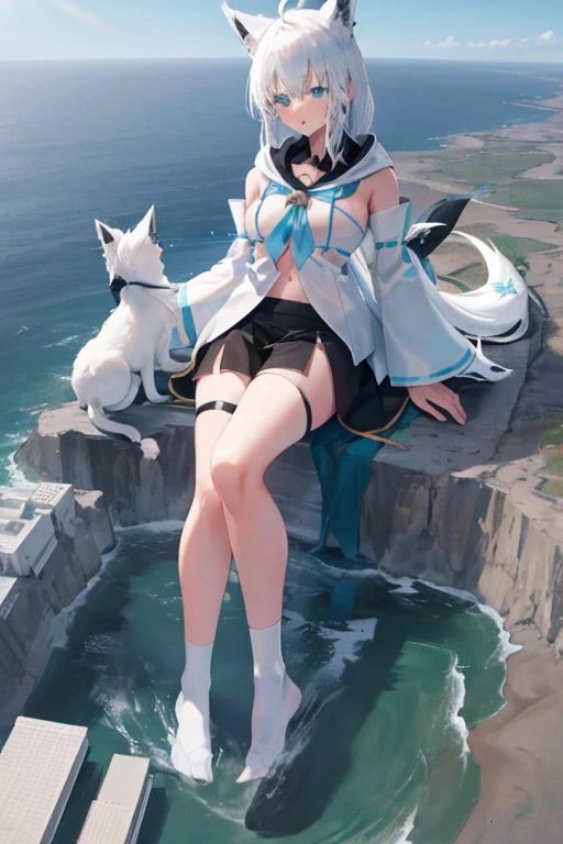 fubuki,GTS,GTS planet,White hair,White Socks,fubuki1