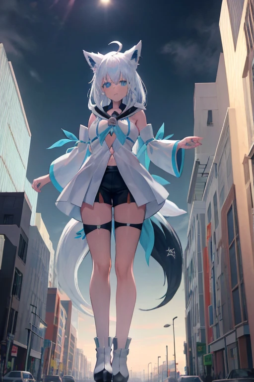 fubuki,GTS,GTS planet,White hair,White Socks,fubuki1