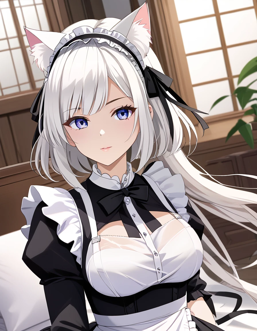 White-haired girl with cat ears、anime、One Woman、Black Ribbon、Black maid outfit、Bob Hair、anime tone、beautiful girl