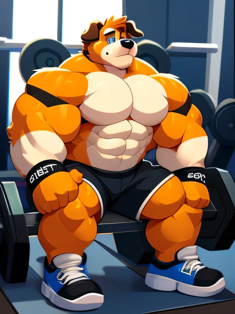 By Greenendorf, A solo shirtless muscular furry Saint Bernard dog huge buff muscles wearing black gym shorts, black wristbands and black gym shoes, pushups at the gym intensely working out with lots of muscles detailed blue eyes Disney 2D art style