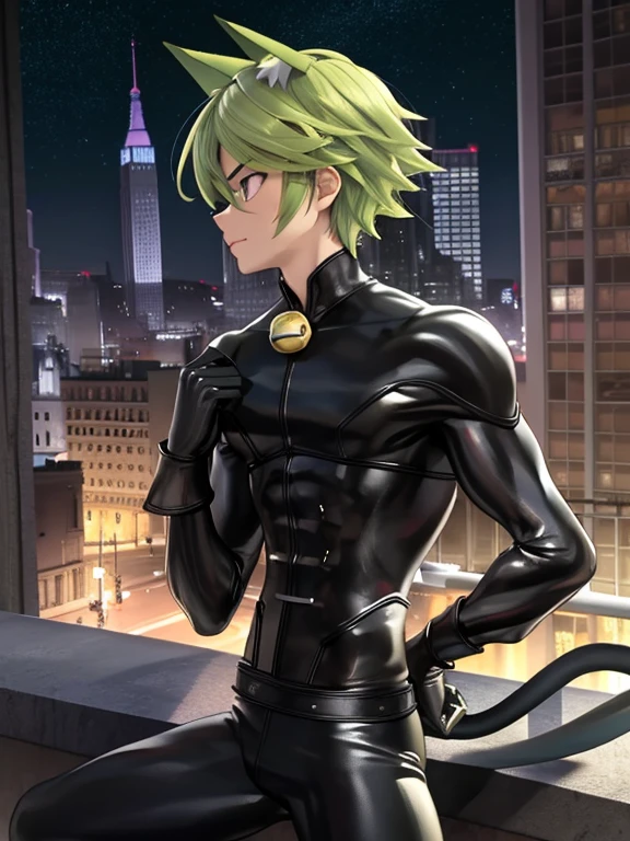 8k, RAW, Masterpiece, Best quality at best, Best Quality, high quality, high detailed, boy, 1boy,(green hair) (purple eyes,) cat ears, chiseled abs, chiseled pecs, black mask, black leather jacket, spike collar, (masterpiece, 3D anime style, more detail, ultra detail), adult boy, sitting, profile, side view, full body, city at night