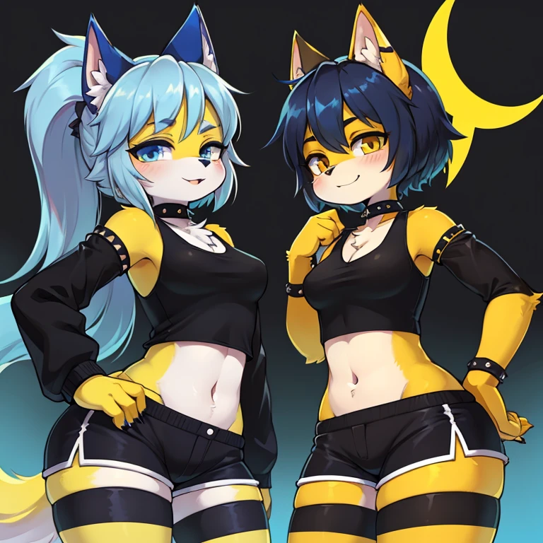 ((1 chico gato, antropomorfico (((pelaje azul con amarillo))) vestimenta chaqueta negra, par, a black vestido)) (1 chica loba Antropomorfica, Loona Helluva Boss, vestimenta crop top y shorts) single solid color background, antropomorficos, un chico gato, una chica looba, (2 Personajes, ((#1 un chico gato antropomorfico pelaje azul vestimenta chaqueta negra, par, a black pants,)) #2una chica loba Loona Helluva Boss) 