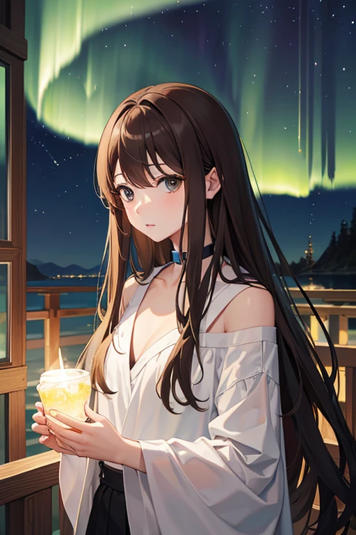 masterpiece, highest quality, High resolution,Follow the prompts、Anime Style、Brown Hair、Long Hair、black eye、Under the Northern Lights