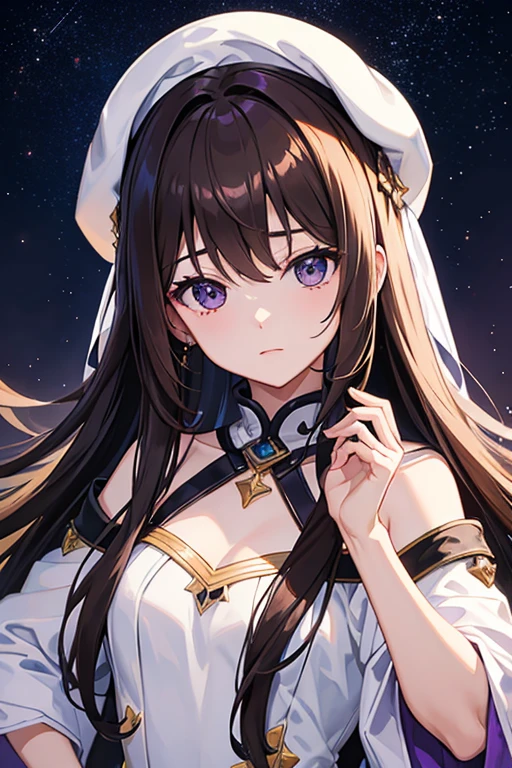 masterpiece, highest quality, High resolution,Follow the prompts、Anime Style、Brown Hair、Long Hair、black eye、Purple night sky、The stars twinkle