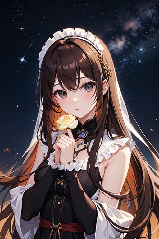 masterpiece, highest quality, High resolution,Follow the prompts、Anime Style、Brown Hair、Long Hair、black eye、Bright night sky at dawn、The stars twinkle