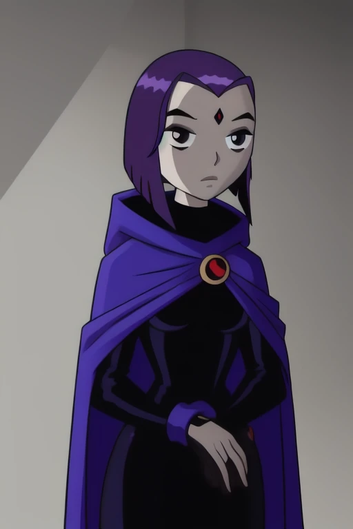 score_9, score_8_up, score_7_up, volumetric lighting,
white raven, 1girl, solo, short hair, purple hair, hood, cape, colored skin, cloak, grey skin, forehead jewel
