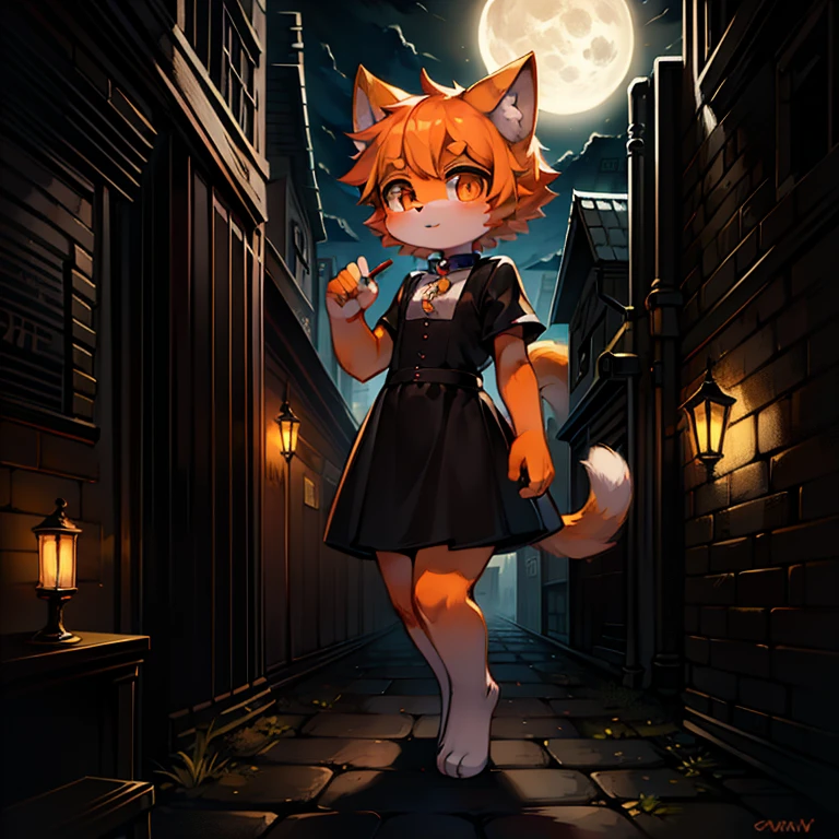 cat,orange,Cute,big eyes,masterpiece,full moon,lane