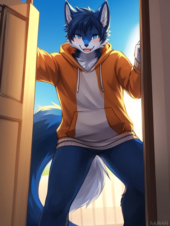 top quality, best quality, by bahnbahn, High-quality illustrations, masterpiece, shading, light, (kemono, furry anthro, alone), round, male, fox, blue fur, white fur, (casual clothing), furs, tail, energetic pose, friendly expression, big blue eyes, black pupils, spiky hair, orange jacket, black details, beige hoodie, modern outfit