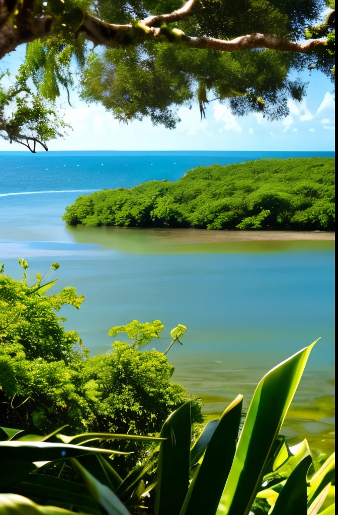 Mangrove swamps on the edge of a tropical shore.