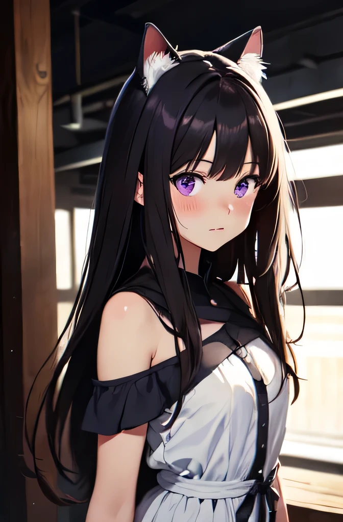 masterpiece, best quality, {best quality}, {{masterpiece}}, {highres}, illustration, 1girl, inoue takina, long hair, bangs, black hair, (purple eyes:1.2), cat ears, white dress, cute face, blush, looking over shoulder at camera