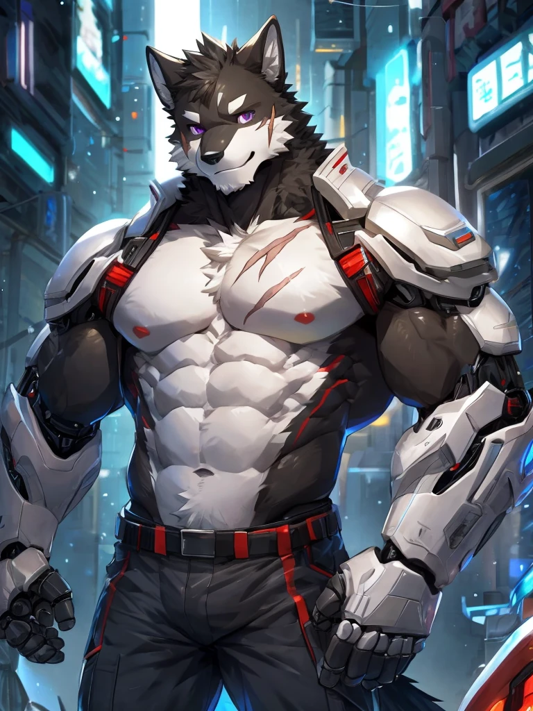 embedding:Black wolf,purple eyes, male, Scar on the face, Single Person,Cyberpunk,A single robotic arm,The other arm is normal.A muscular figure,Bare upper body,In black pants.Full pectoral muscles,Mechanical abdominal muscles,Single fully robotic arm.mechanical muscles.Adult,future,Handsome,Black Fur,A single mechanical arm,Best quality hands, best quality eye,detailed fur,Delicate eyes.Extreme picture quality,by sollyz,by zixiong,by milkytiger1145
