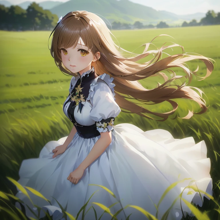 anime girl in a white dress in a field of grass, smooth anime cg art, anime visual of a cute girl, makoto shinkai. digital render, girls frontline cg, high detailed official artwork, cute anime waifu in a nice dress, official art, detailed digital anime art, in field high resolution, cushart krenz key art feminine