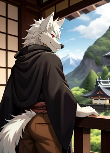 masterpiece, best quality, Japanese cartoons,Medieval furry, male, A wolf in a black cloak sits on the porch near the window of a Japanese-style villa, look out, Looking at the green mountains in the distance, Wind Chimes, midsummer, Expressive, male focus, Bokeh, Depth of Field,Pure white hair,Red eyes,Holding a silver sword,Brown trousers,Brown wrist guard,Normal eyes