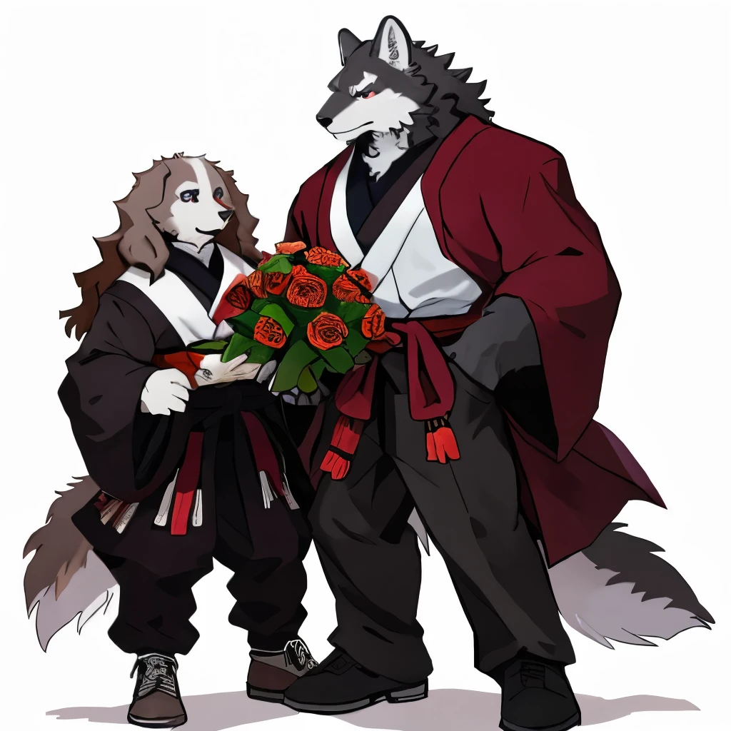 Drawing style. an anthropomorphic gray Wolf's is tall, with red eyes. He is strong, imposing, muscular body. He wears a large winter coat and a black high-neck sweater, pants, and shoes of the same color.an anthropomorphic white male Cocker Spaniel, with blue eyes. his body is athletic, he has a small and short white abdomen, He wears traditional Japanese clothing, his clothes are burgundy and his pants are white. He has long hair and his fur is white. the wolf is holding a bouquet of roses and is giving them to the white male cocker spanile