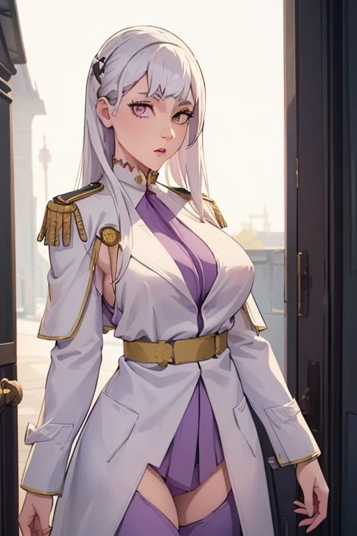 Noelle, ((masterpiece)), ((best quality)), (white long coat), coat on shoulders,white navy soldier uniform ,(epaulettes), purple shirt, blue pants, upper body, looking at viewer, large breasts ,(hd), (full body shot), (high resolution)