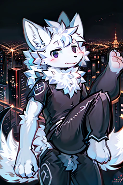 1 boy, city, any outfit, any eye color and expression, alone, fluffy fur, fluffy tail